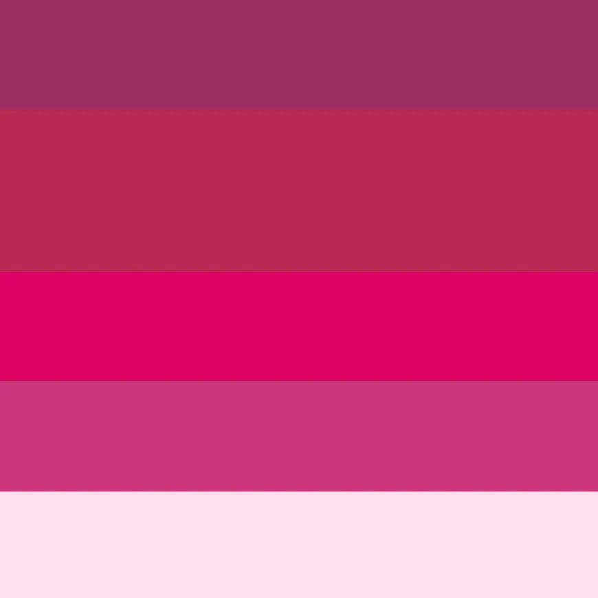 Colour blocks lined in a row, different shades of deep pinks.