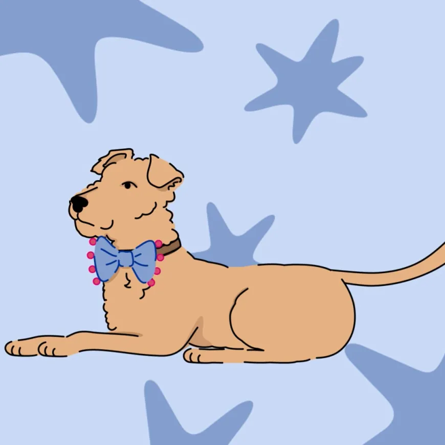 Illustration of Pippin the terrier dog wearing a blue and pink bow tie.