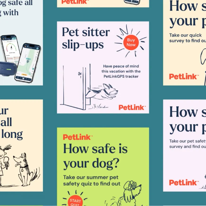Square PetLink social media assets in columns on a blue background.