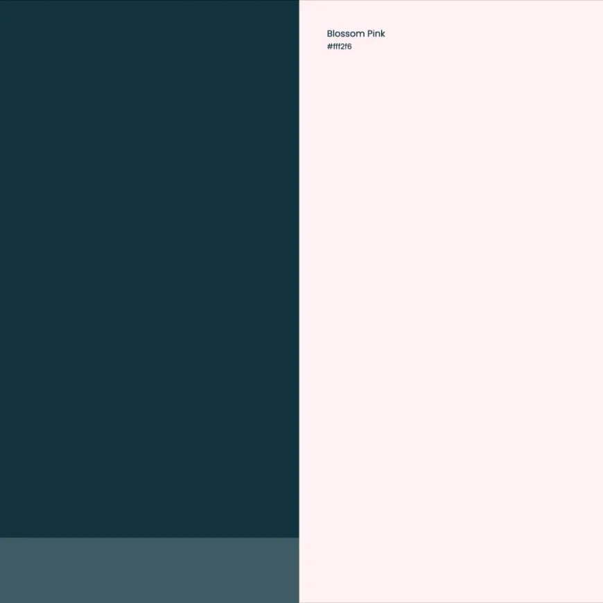 a split screen, on the left is a deep blue on the right a soft pink